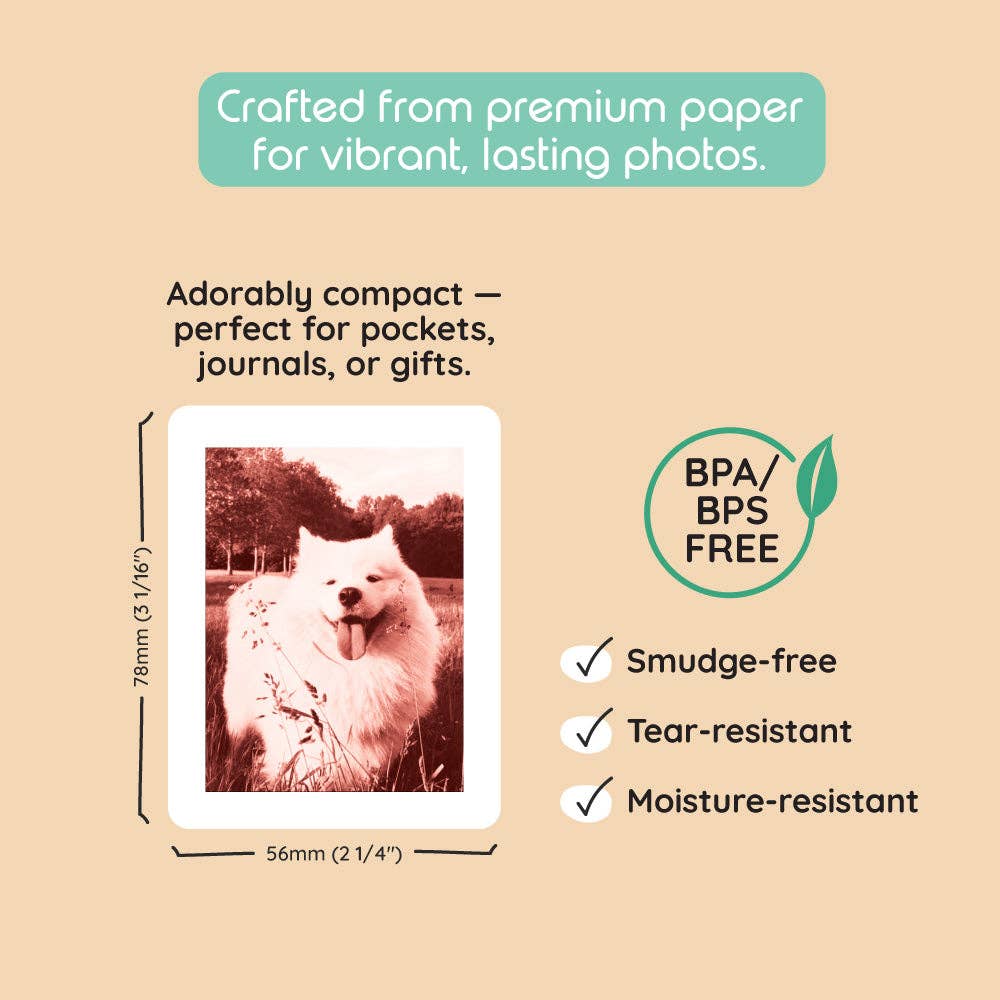 Print Pack 120 Prints | For Model P2