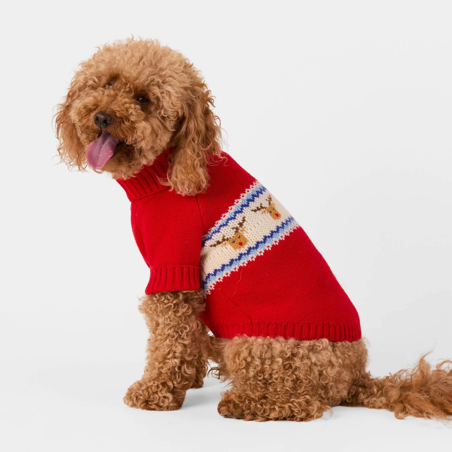 Reindeer Fair Isle Bobble Dog Sweater: M