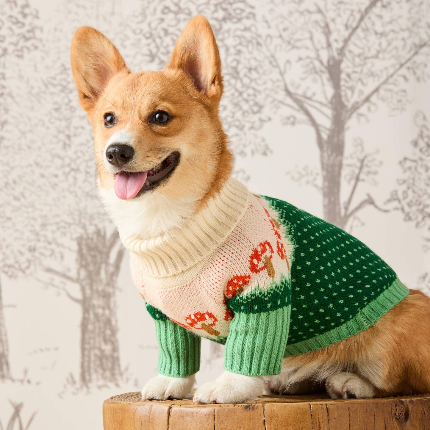 Toadstool Dog Sweater: S