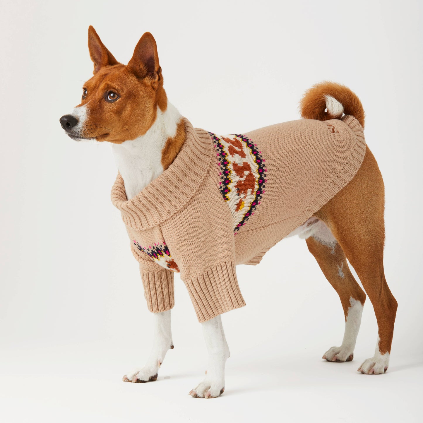 Squirrel Knit Dog Sweater: S