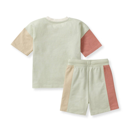 Color Blocked Boy Tee & Shorts Set: 2T