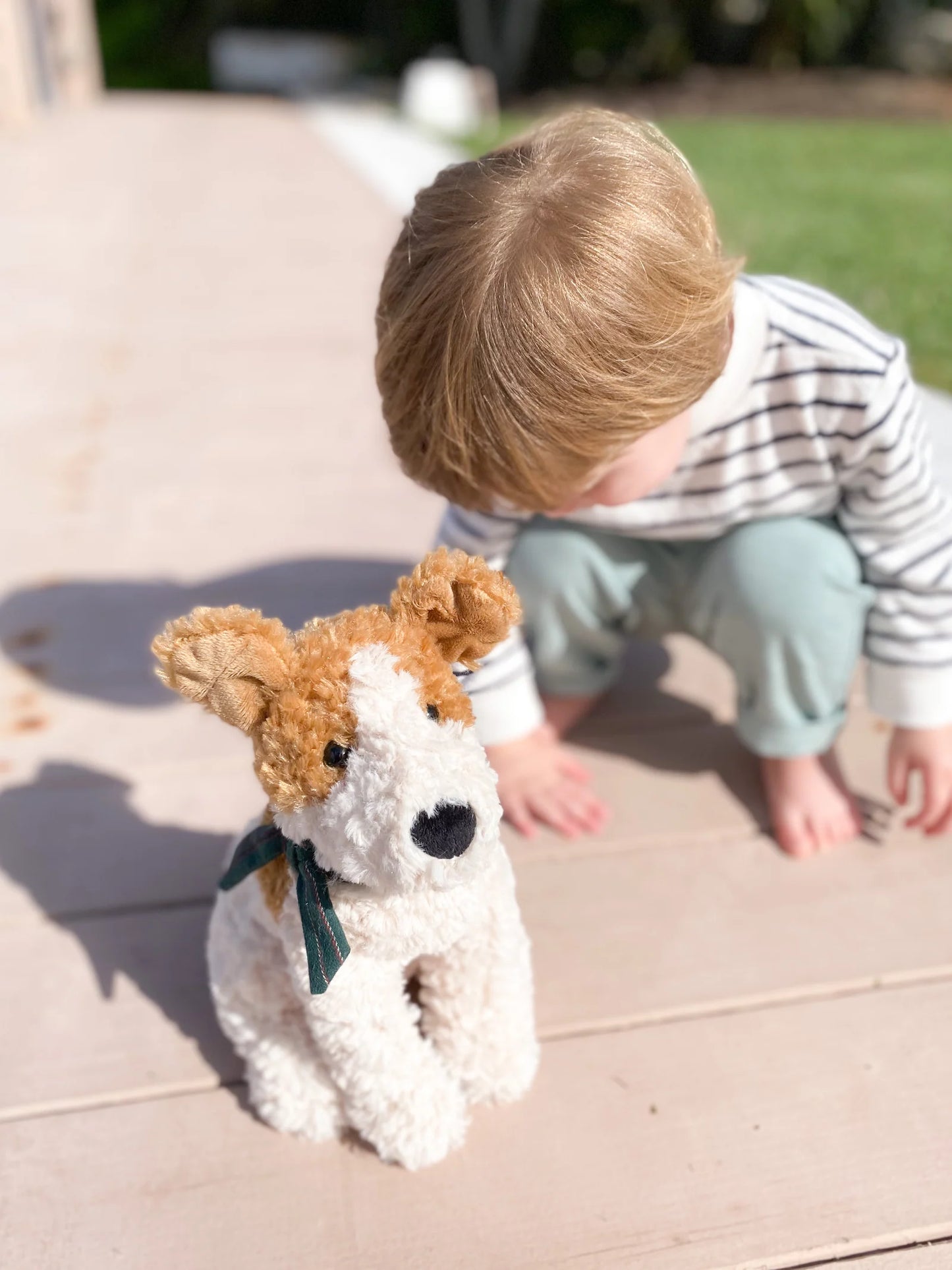 Jacques Jack Russell