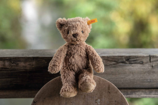 Thommy Teddy Bear Brown Plush Toy, 8 Inches