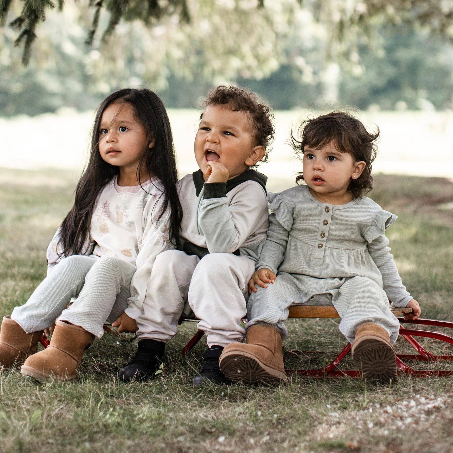 Color Blocked Sweatshirt & Pants Set - Bobcat
: 2T