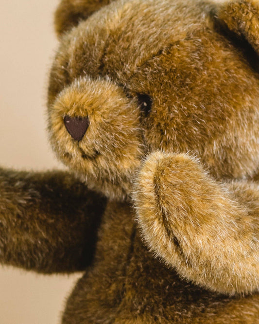 Robert the Bear - Steiff / Brown - Small