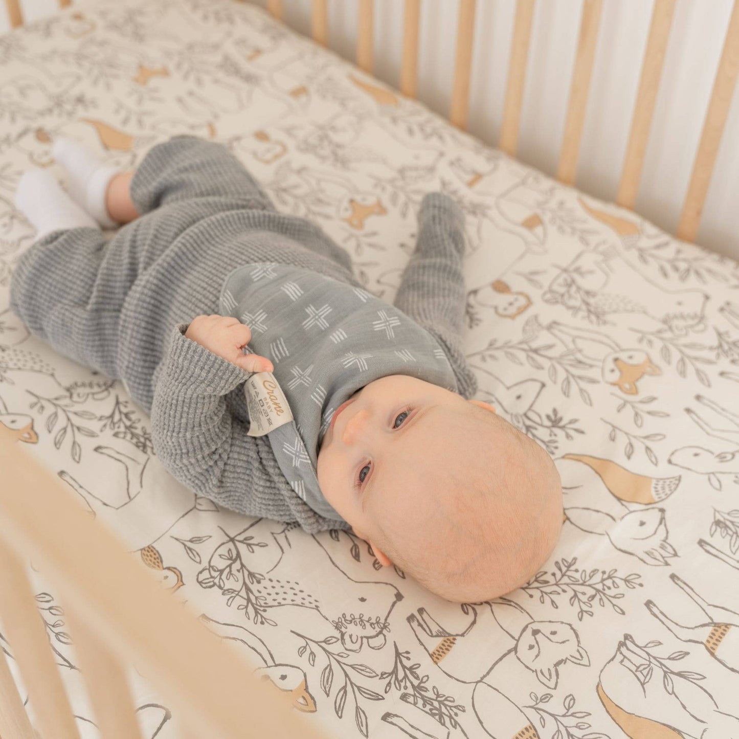 Ezra 3-Pc. Muslin Bib Set