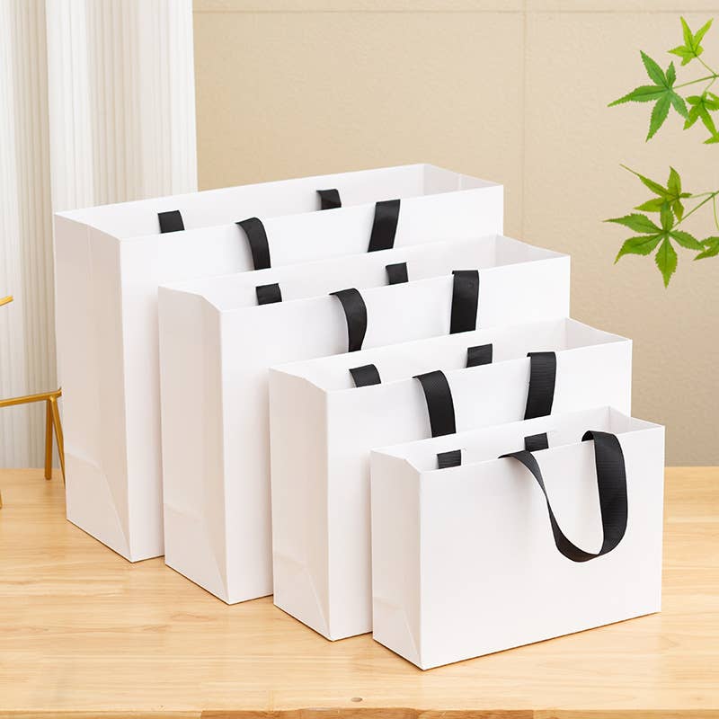 Premium Threaded Rope White Paper Gift Bag w/ free tissue: Medium