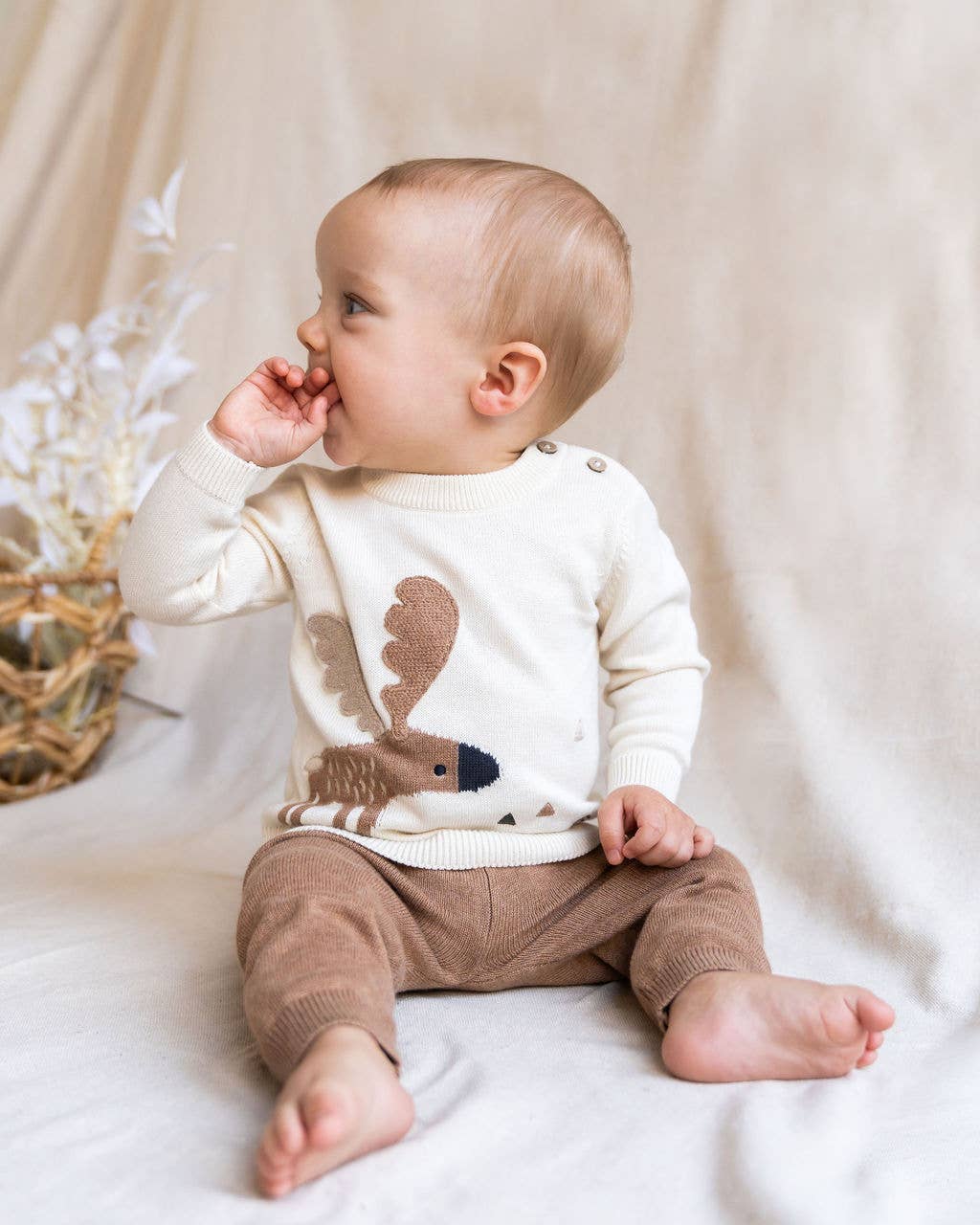 Moose Jacquard Knit Baby Pullover Sweater (Organic Cotton): Natural / 18-24M