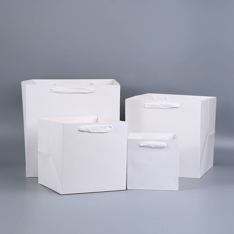 All White Square Cotton Handle Paper Gift Bag w/ free tissue: S3