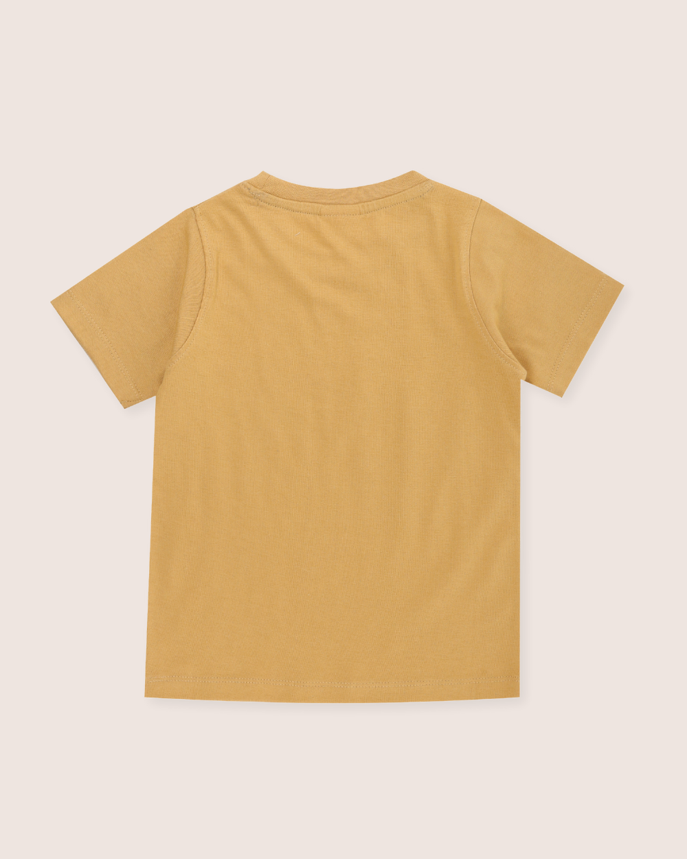 Bird Motif Print T-Shirt: Golden / 2-3 Years