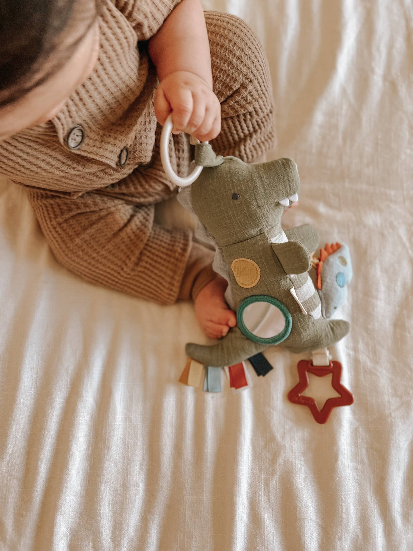 *NEW OPTION* Bitzy Traveler™: Dinosaur