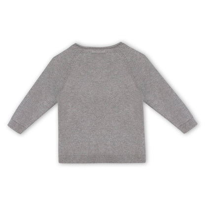 Dinosaur Jacquard Knit Raglan Baby Sweater (Organic Cotton)