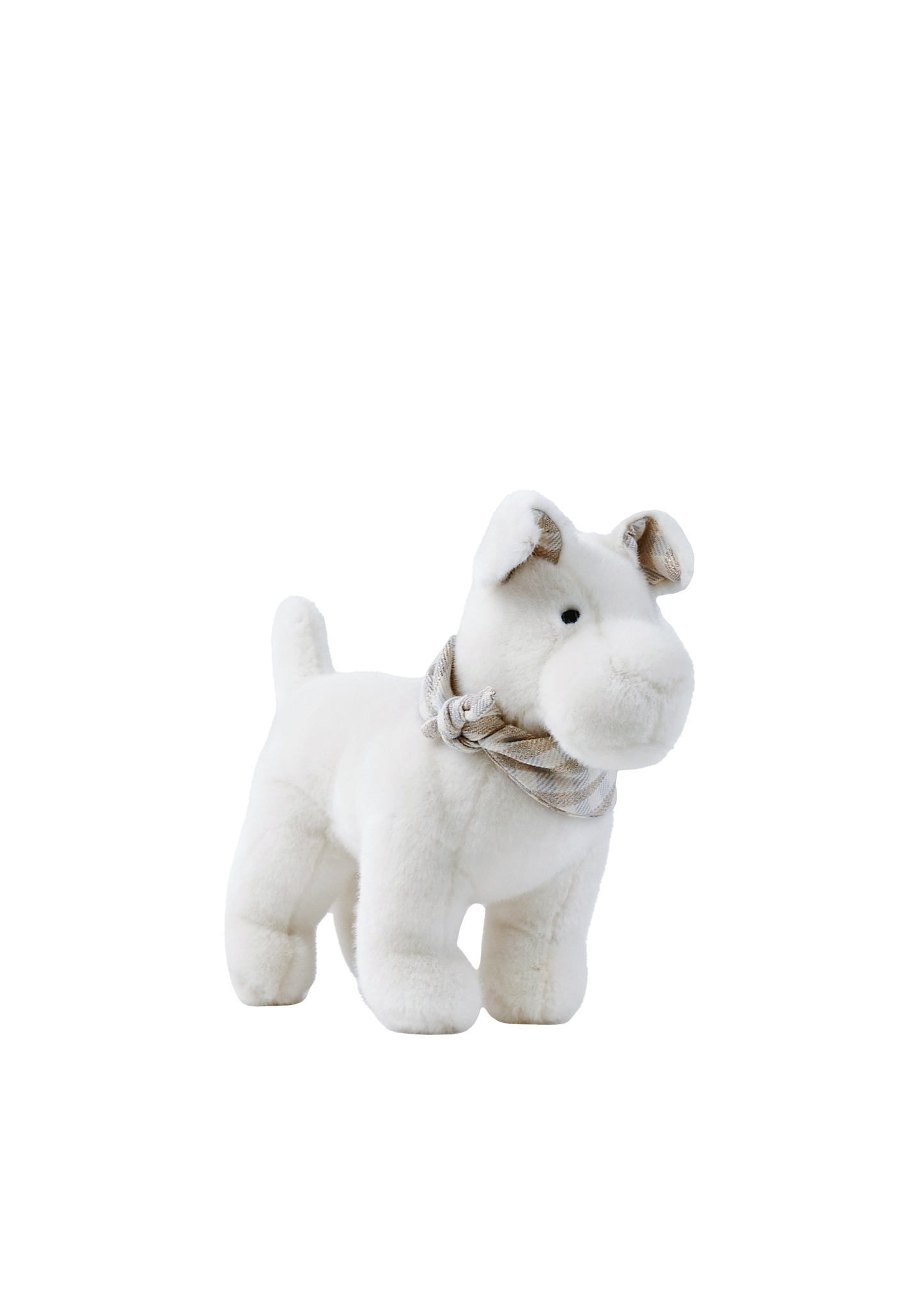 Oscar the Terrier