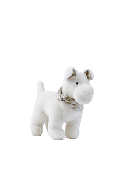 Oscar the Terrier