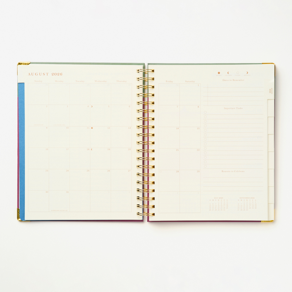 2027 Sneaky Cat Bookshelf 17-Month Large Spiral Planner