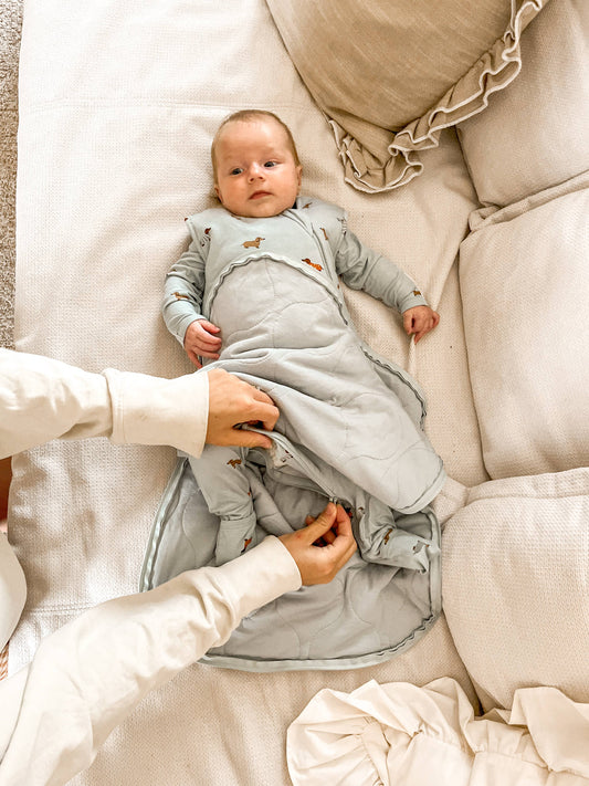 SS26 Sleep Sack 1.0 TOG