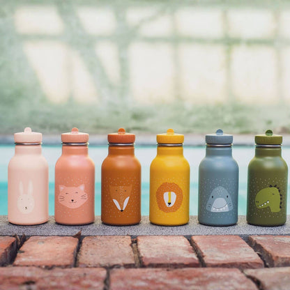 Trixie Stainless Steel Bottle 350 mL (12 oz) | Toddler+ Kids