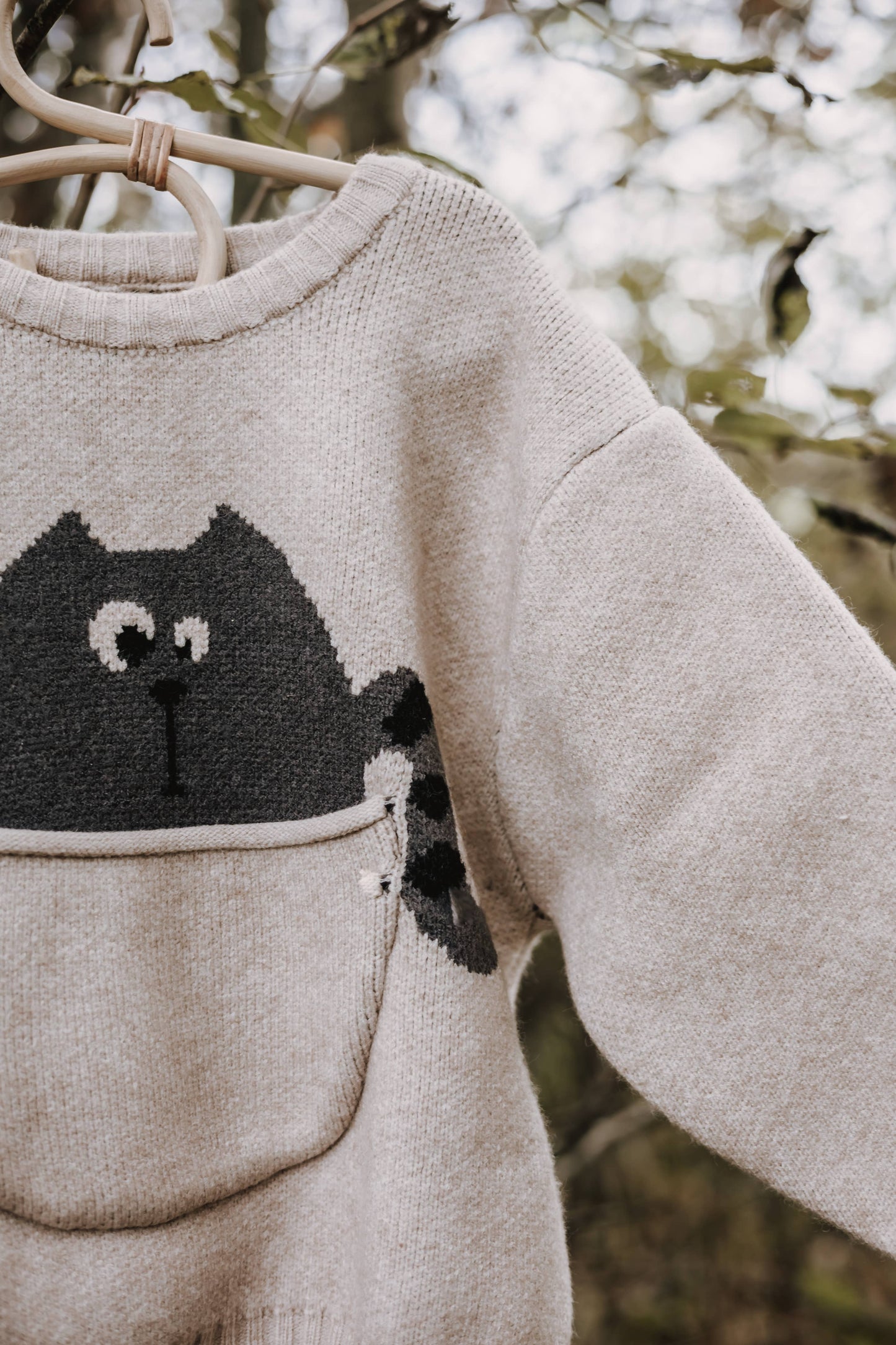 Annie & Charles® animal knitted sweater: Beige bear
