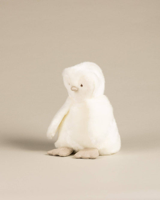 THE PENGUIN PAMPLEMOUSSE X TARTINE ET CHOCOLAT