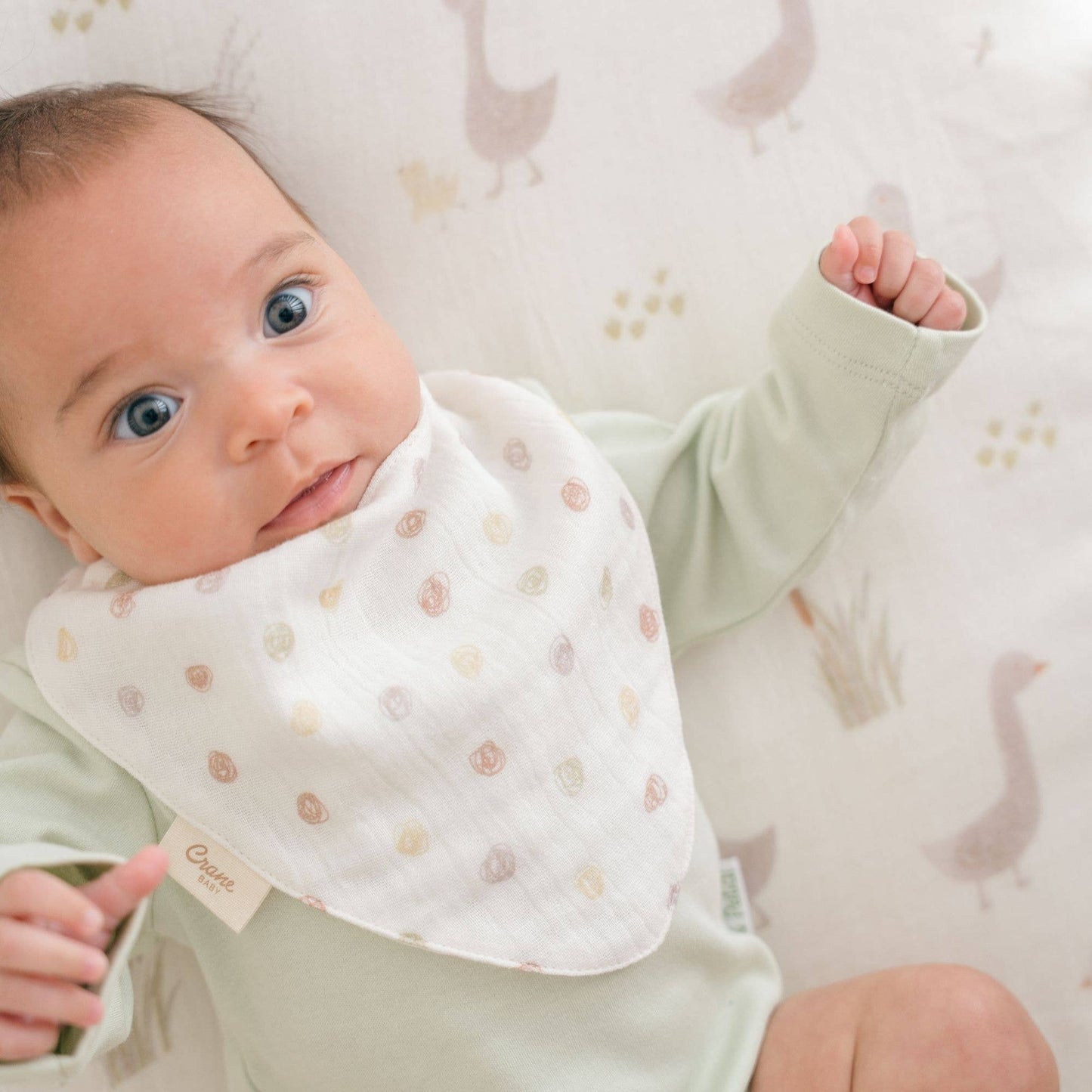 Charlie 3-pc. Farmhouse Goose Bib Set