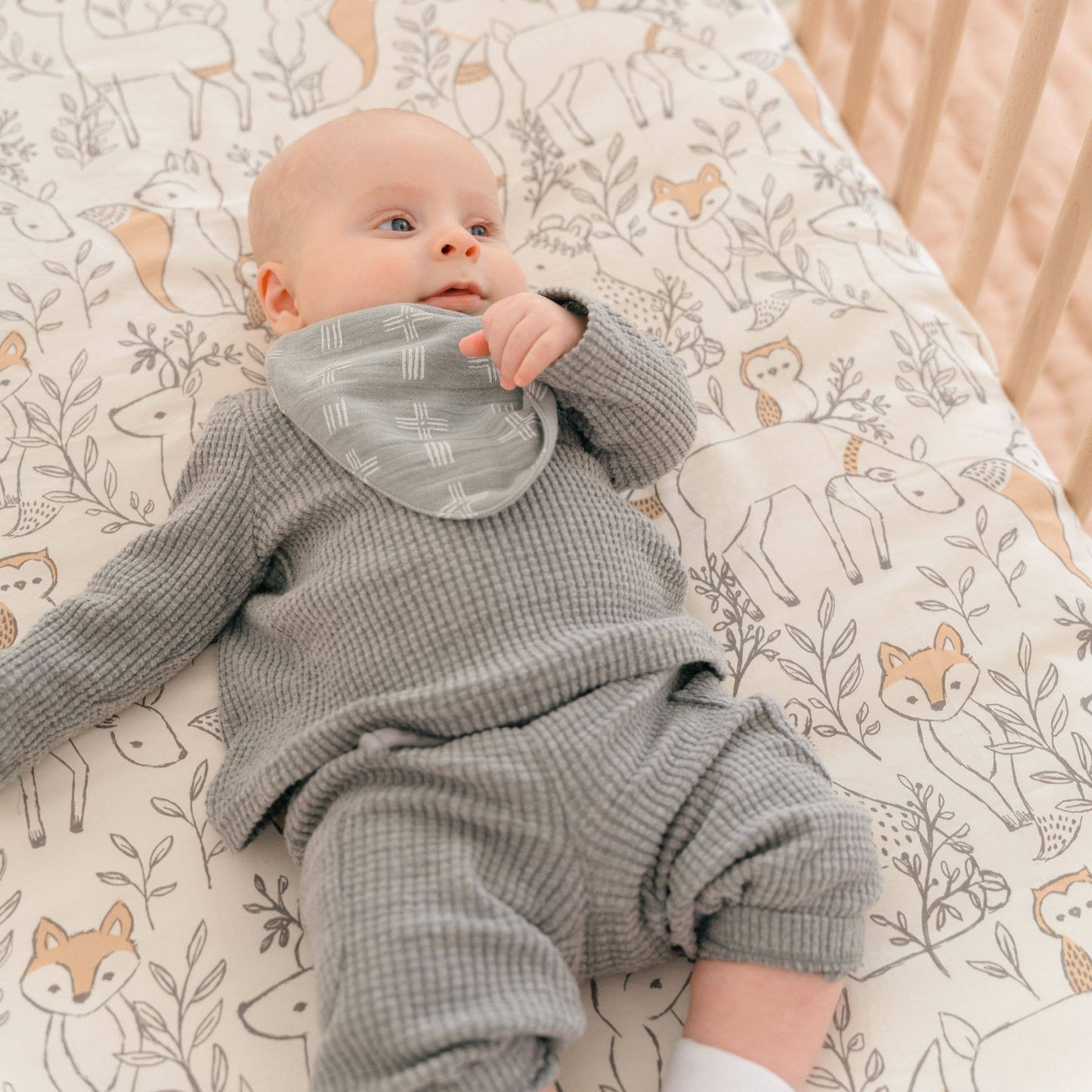 Ezra 3-Pc. Muslin Bib Set