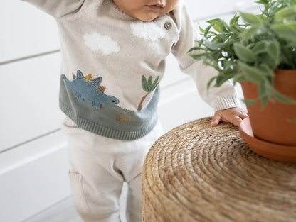 Dino Applique Button Baby Pullover Sweater (Organic): Stone / 12-18