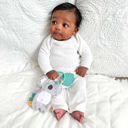 Itzy Pal™ Plush + Teether: Strawberry