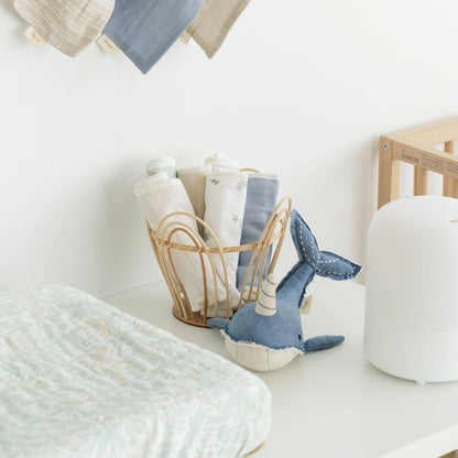 Cove 5-pc. Wash Cloth Set (Sea Life)