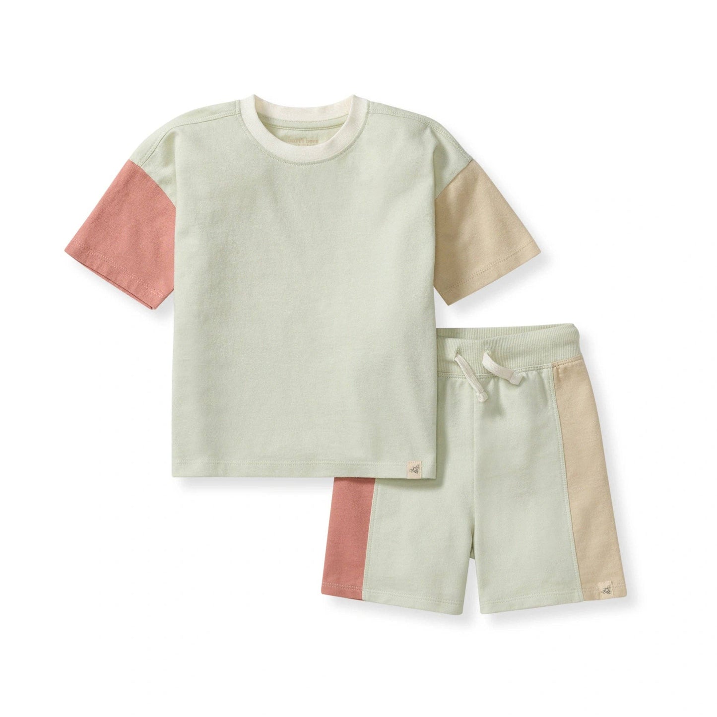 Color Blocked Boy Tee & Shorts Set: 2T