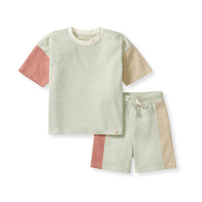 Color Blocked Boy Tee & Shorts Set: 3T