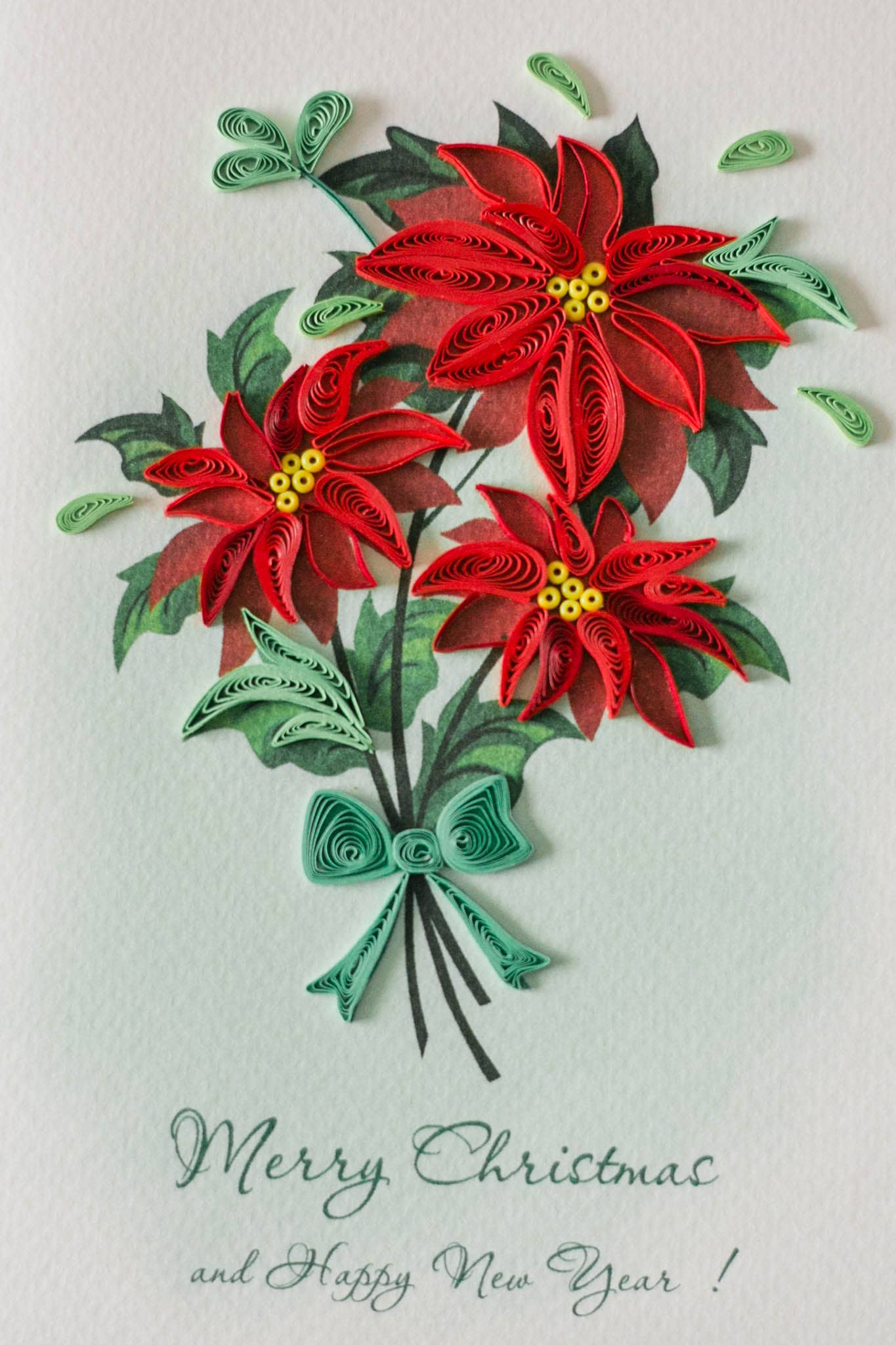 Poinsettia