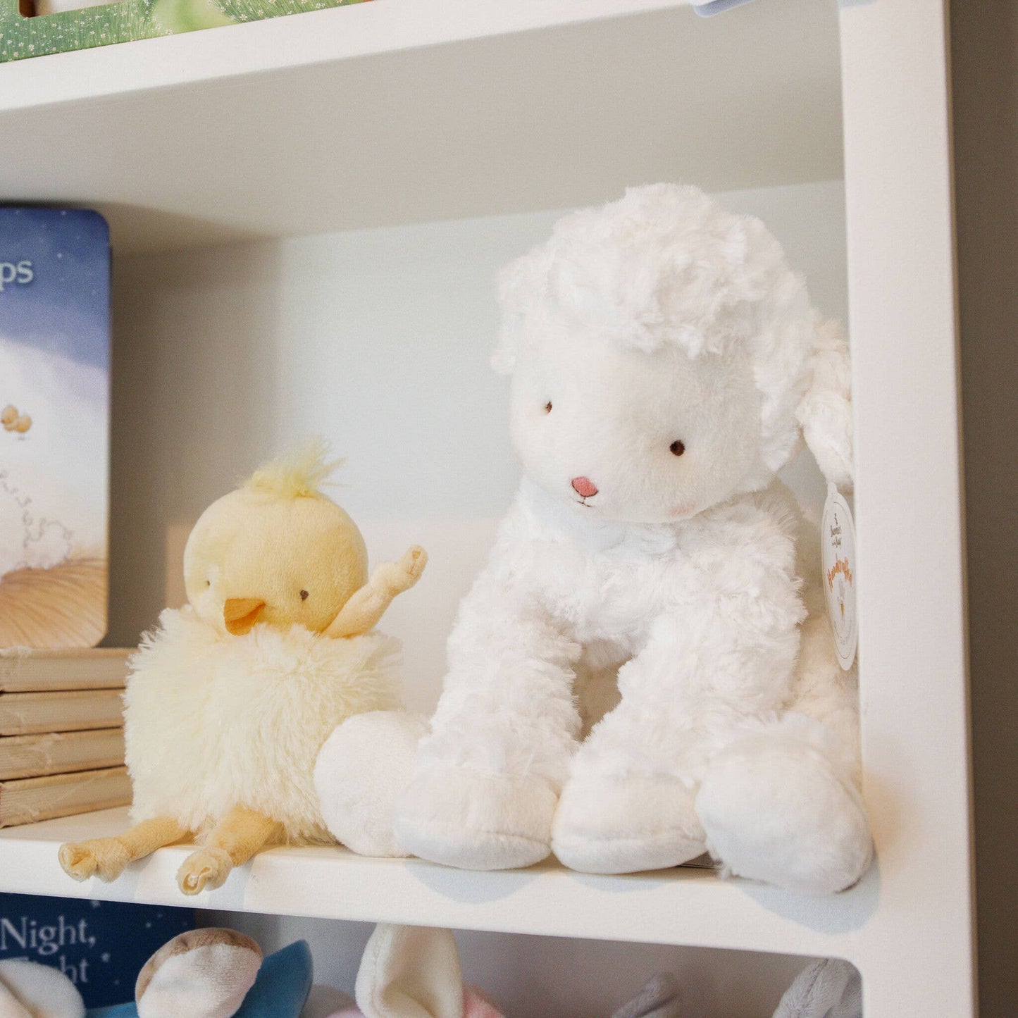 Kiddo the Lamb