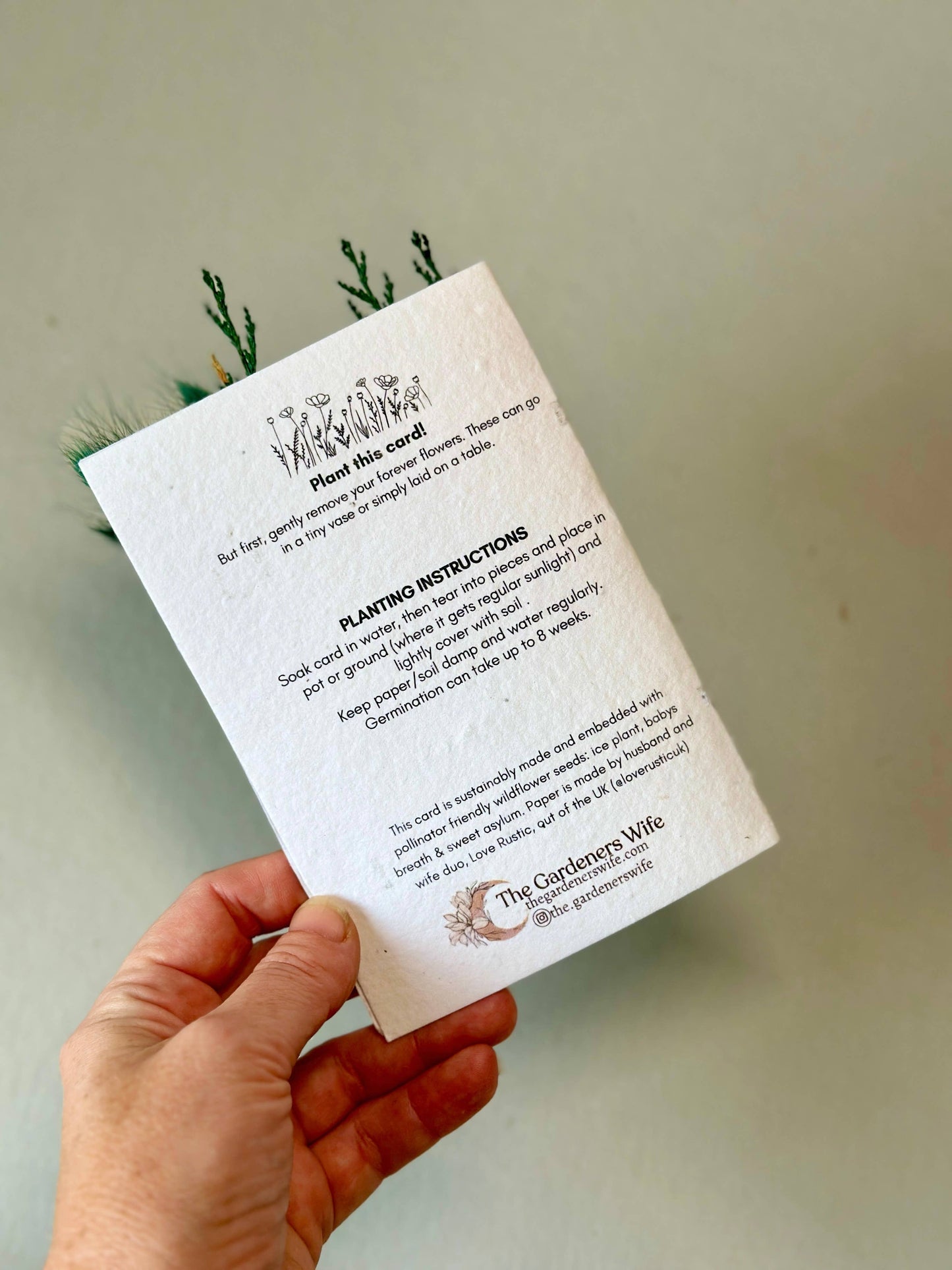 Wildflower Seed Card + Tiny Bouquet | Holiday Edition: Merry Christmas