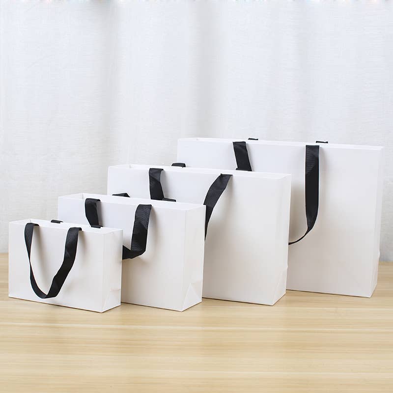 Premium Threaded Rope White Paper Gift Bag w/ free tissue: Large