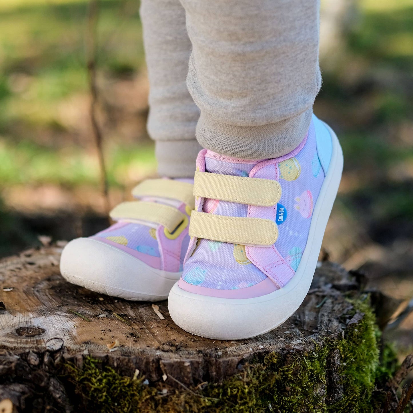 Macarons | Toddler Mini Canvas Sneakers