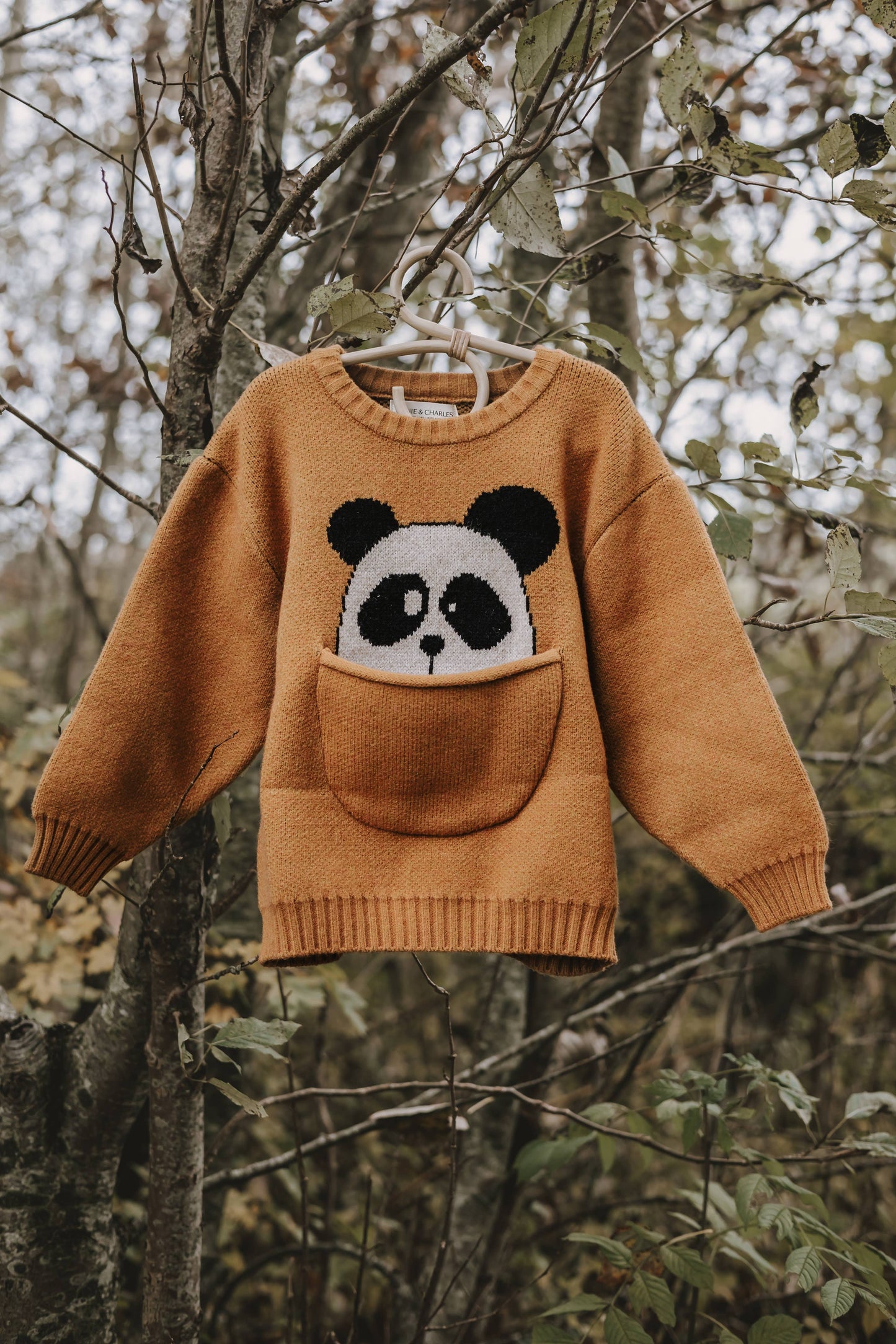 Annie & Charles® animal knitted sweater: Beige bear