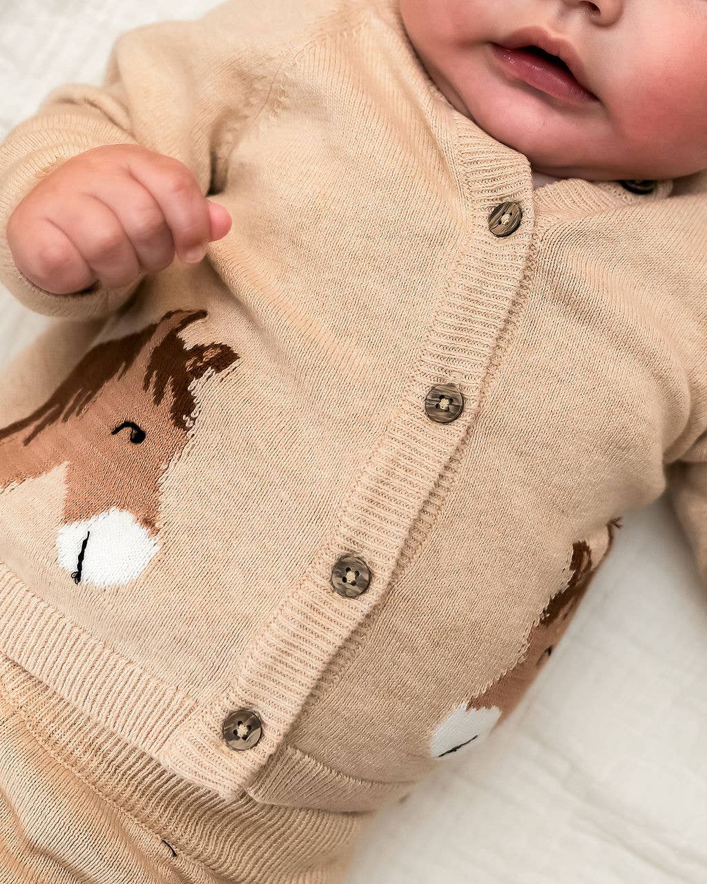 Horse Jacquard Sweater Knit Baby Cardigan (Organic Cotton): Oatmeal Heather / 12-18M
