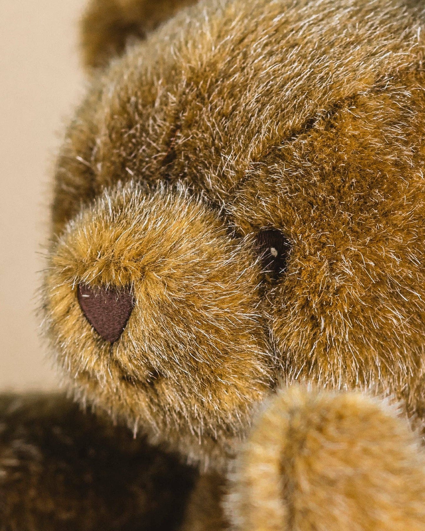 Robert the Bear - Steiff / Brown - Small