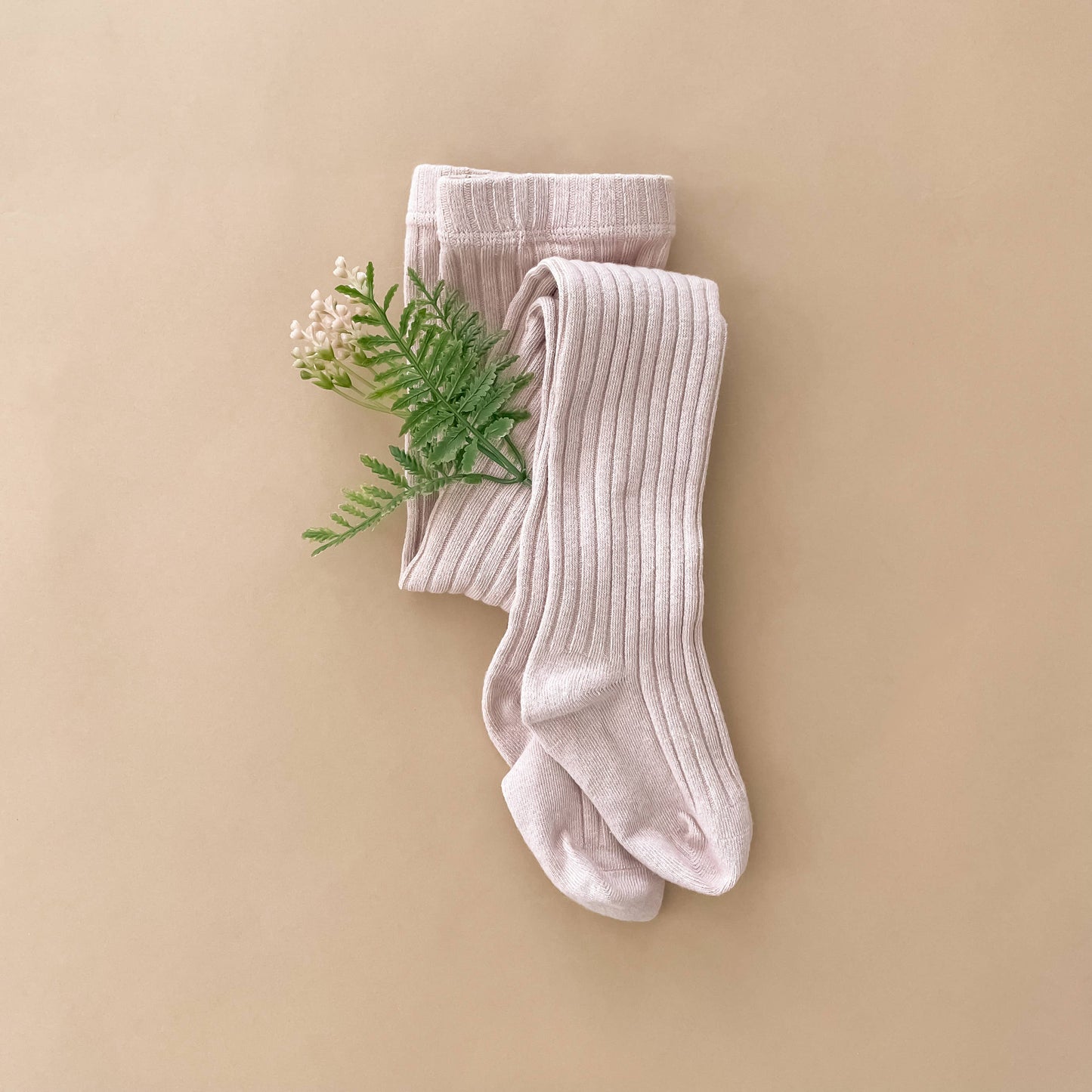 Tights, Blush Girls Cotton Kids  Spring Clothing Baby Fall: Medium 2-4 y