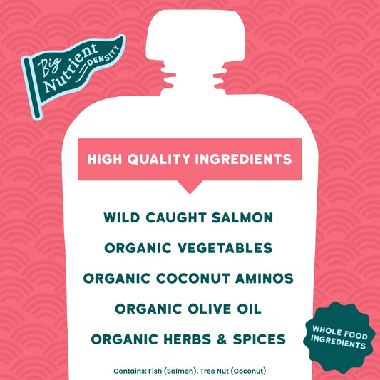 Salmon Teriyaki Baby Food (6 Pouches)
