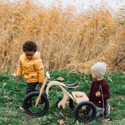 Tricycle Add-On