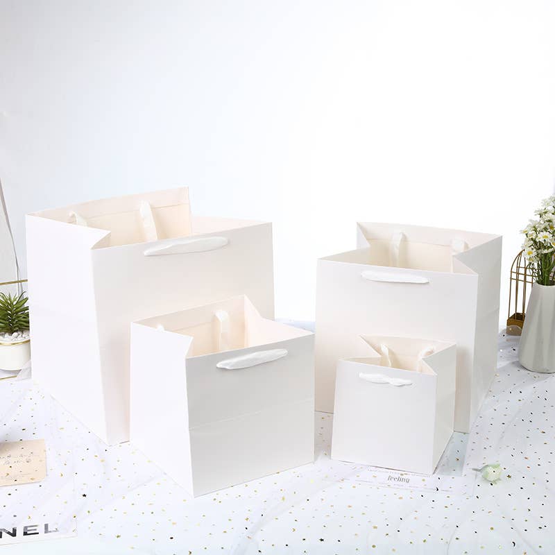 All White Square Cotton Handle Paper Gift Bag w/ free tissue: S2