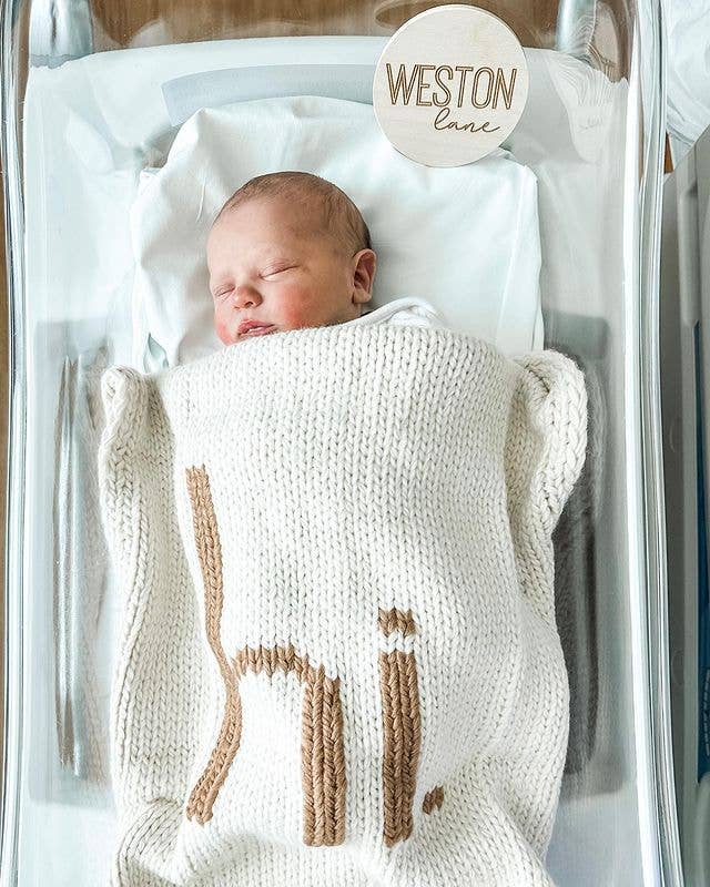 Hi. Hand Knit Baby Blanket Pecan: Pecan