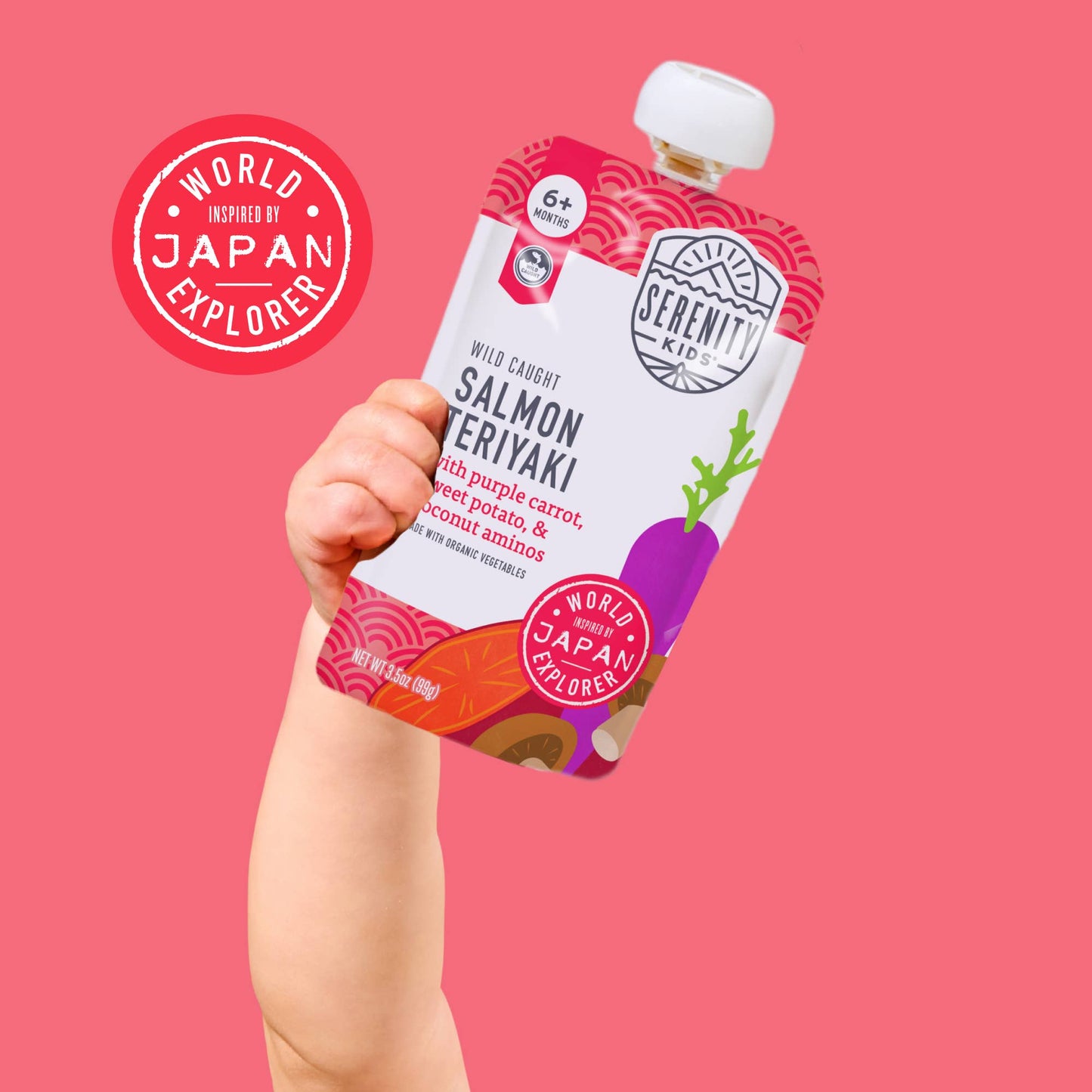 Salmon Teriyaki Baby Food (6 Pouches)