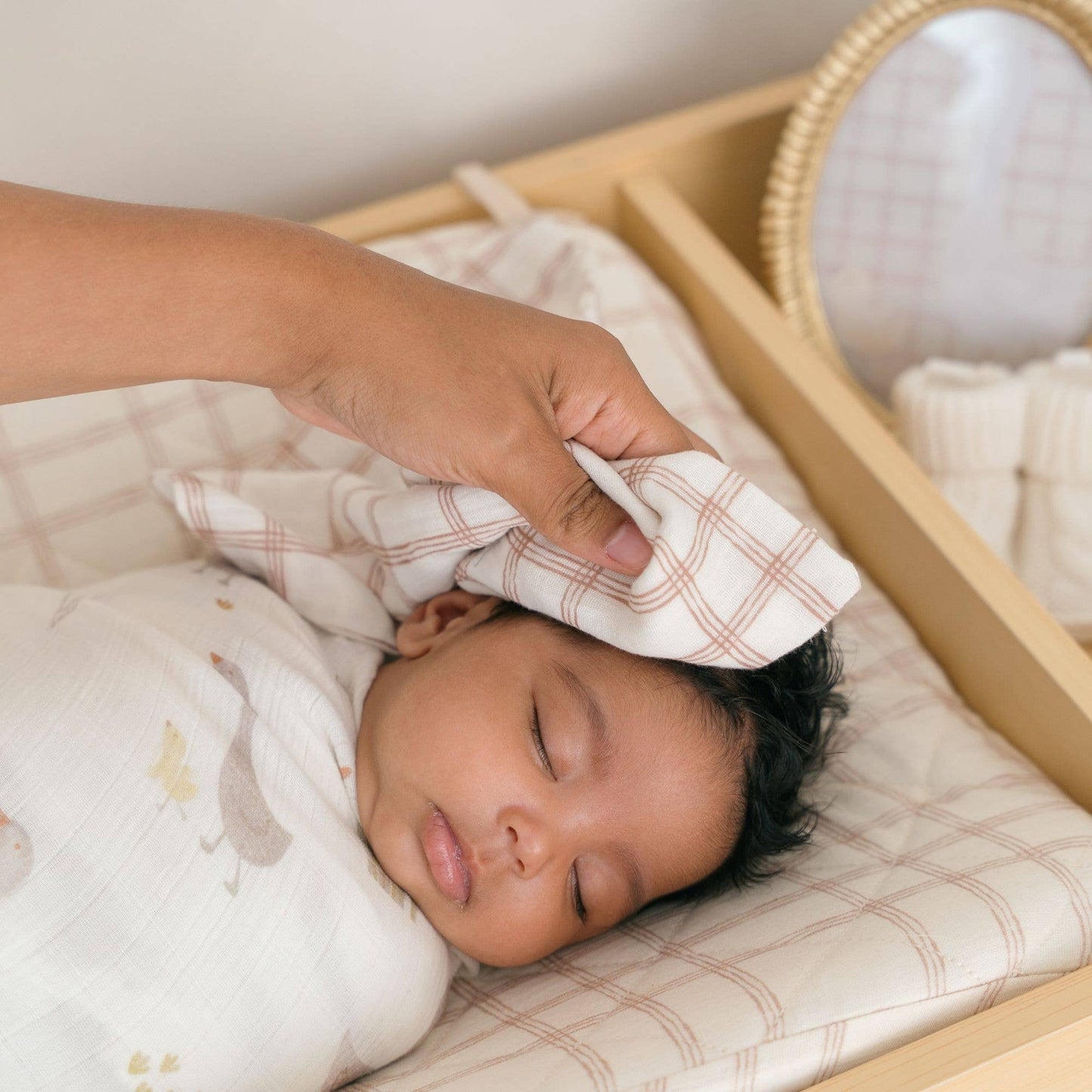 Charlie Farmhouse Goose HT/Wash Cloth Set