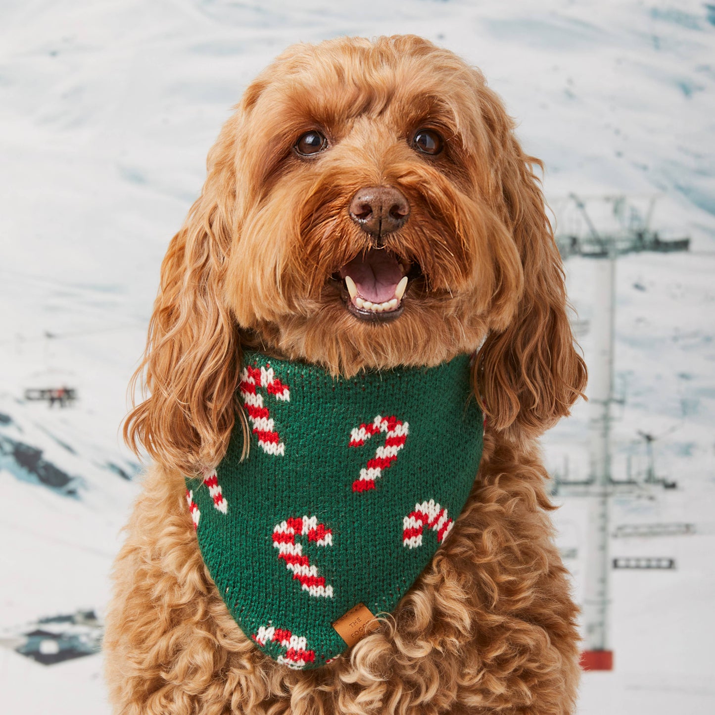 Candy Cane Knit Holiday Dog Bandana: Medium