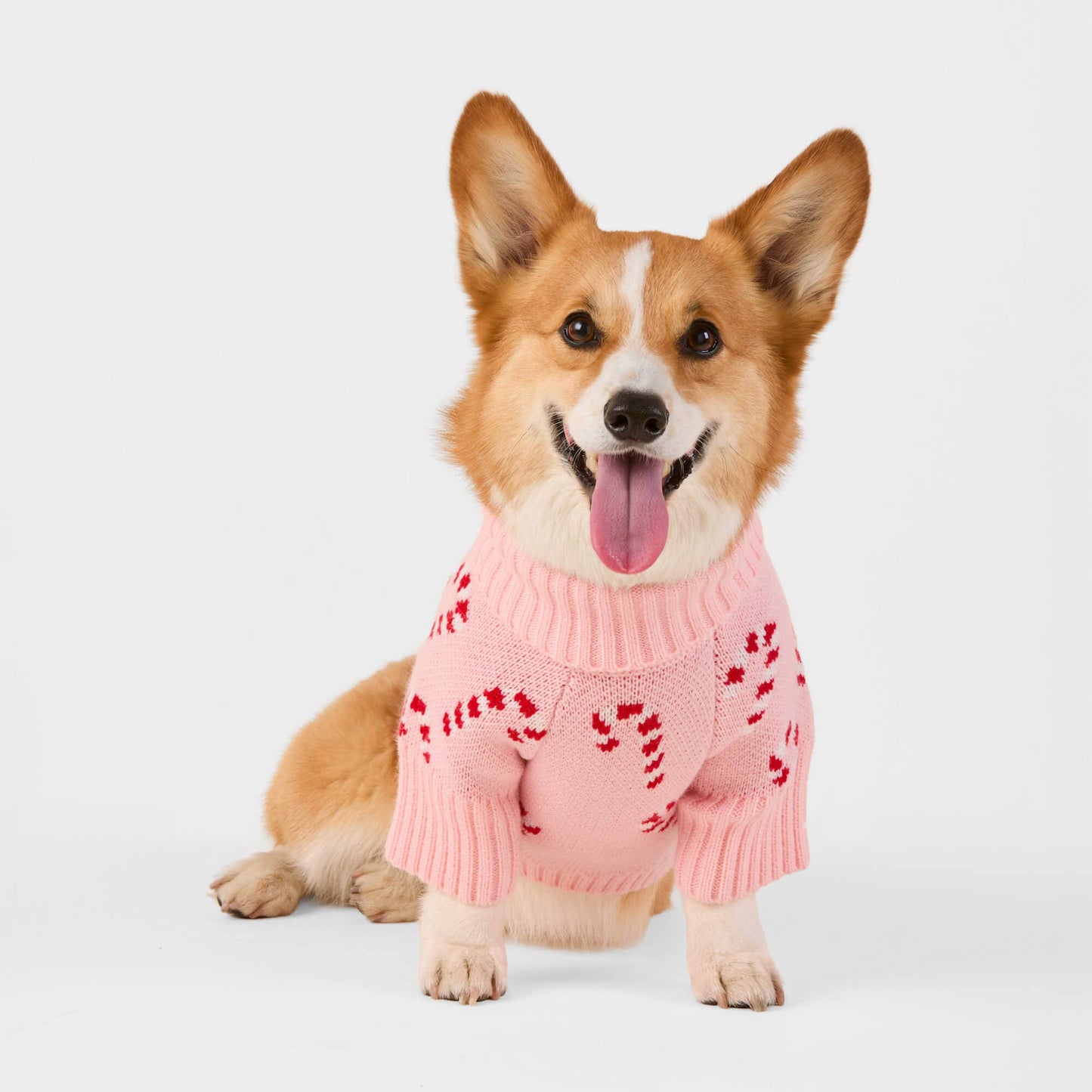 Pink Candy Canes Dog Sweater: S