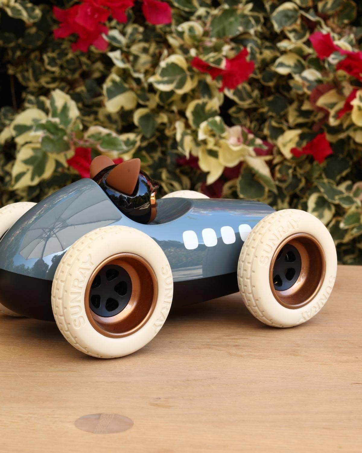 Car EGG