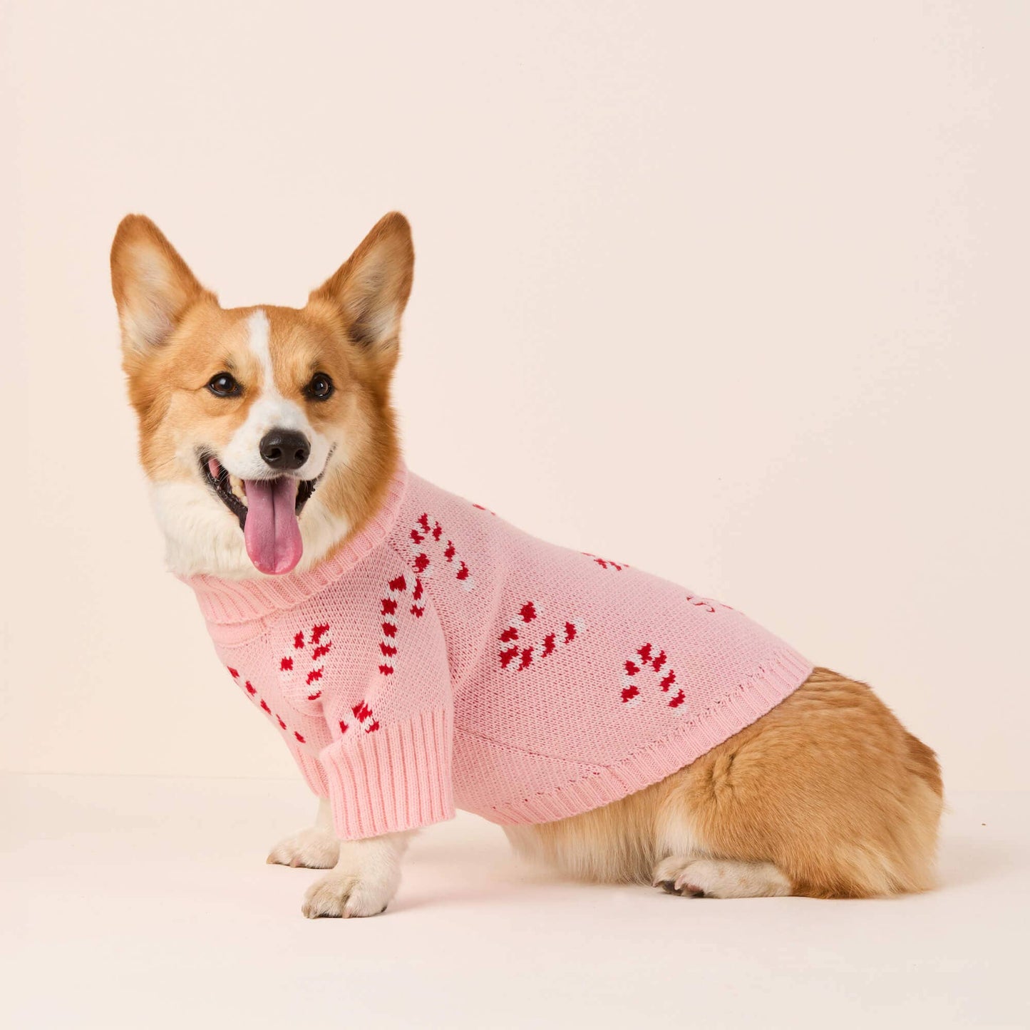 Pink Candy Canes Dog Sweater: L