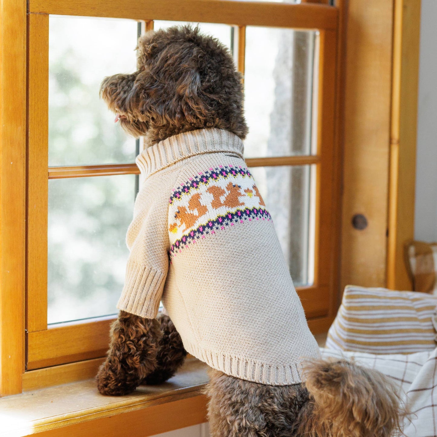 Squirrel Knit Dog Sweater: S